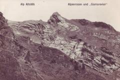 Alp Altsäss, Alpenrosen und "Gamsrevier" um 1915. Aufnahme und Verlag von Friedrich Müller, Buchs