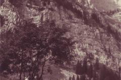 Partie auf Schrina-Hochruck 1300m, Walenstadterberg mit Brisi, Poststempel vom 16.04.1931. Aufnahme und Verlag von Max Burkhardt, Arbon, Nr. 1540