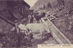 Alp Tschingla 1536m, Poststempel vom 15.07.1910. Aufnahme und Verlag von J. Stadlinger, Flums, Nr. 231