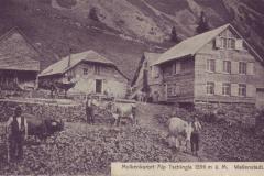 Molkenkurort Alp Tschingla 1536m, Poststempel vom 21.07.1910. Aufnahme und Verlag von J. Stadlinger, Flums, Nr. 230