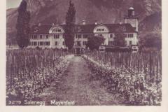 Maienfeld: Schloss Salenegg um 1920. Verlag Frei & Co., St. Gallen, Nr. 3279