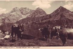 Am Bettlerjoch um 1935, mit Panüeler Schrofen und Hornspitz. Aufnahme und Verlag von Adolf Buck, Schaan