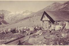 Malanseralp Obersäss um 1920. Aufnahme von Friedrich Wilhelm Sprecher, Vättis