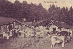 Auf der Flumser Alp, Poststempel von 1911. Aufnahme und Verlag von J. Stadlinger, Flums