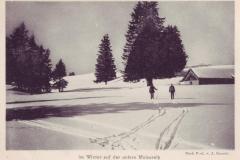 Im Winter auf der unteren Molseralp um 1910. Aufnahme von Jean Knecht, Flums
