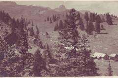 Molseralp um 1920. Wehrliverlag, Zürich, Nr. 28084