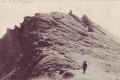 Gipfel des Monte Luna (heute Muntaluna) um 1920. Aufnahme von Friedrich Wilhelm Sprecher, Vättis