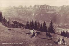 Vor der Skihütte Gstollenberg 1300m ob Mels, Poststempel von 1928. Aufnahme und Verlag von Max Burkhardt, Arbon, Nr. 1067