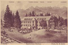 Alpenkurhaus Oberberg um 1915. Künstlerpostkarte von Jakob Nohl, Schaffhausen