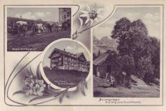 Kurhaus Tannenboden, Gepäcktransport, Baumgruppe am Weg zum Tannenboden, Poststempel vom 20.06.1909. Aufnahme von Hans Wagner, Uzwil