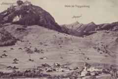 Stein im Toggenburg mit Goggeien und Speer, Poststempel vom 30.08.1910. Postkartenverlag Christian Tischhauser, Buchs SG, Nr. 846